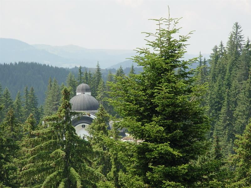 -40% Schi Pamporovo 2026 ᐈ 16 Hoteluri